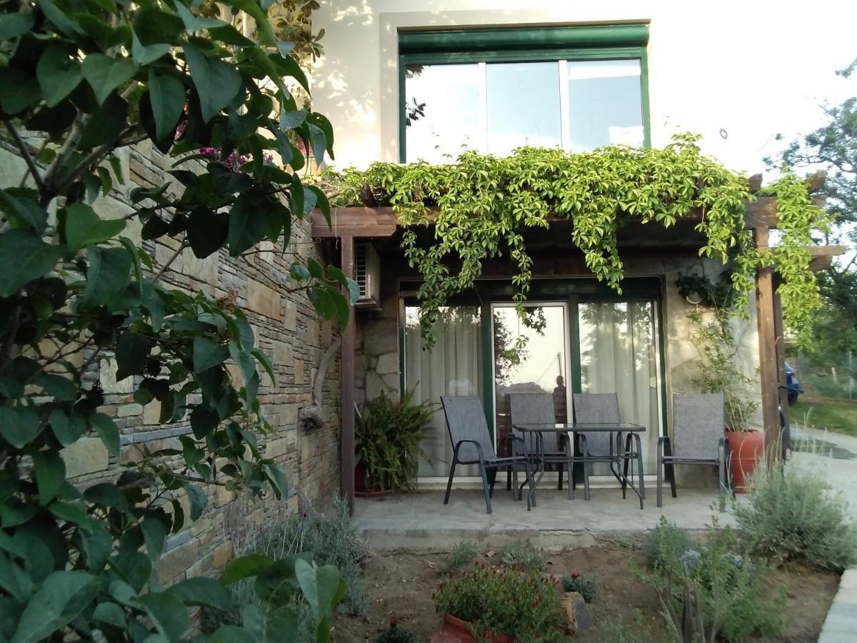 Αμυγδαλιές 33 Μύριναヴィラ エクステリア 写真